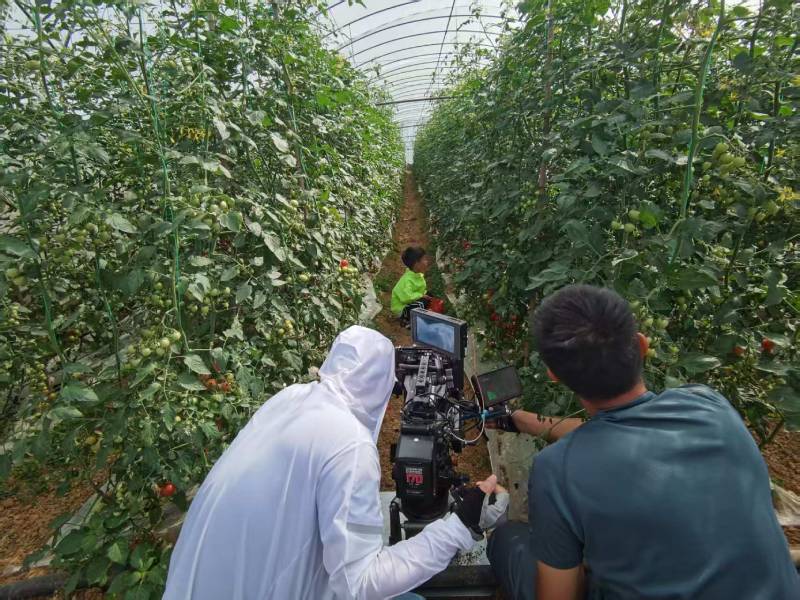 华县产品宣传视频拍摄公司进阶指南，助力品牌抢占传播高地